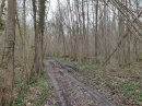 Forêt de Beaumont